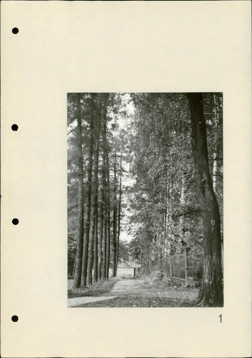 Ewidencja parkowa, skan nr 27