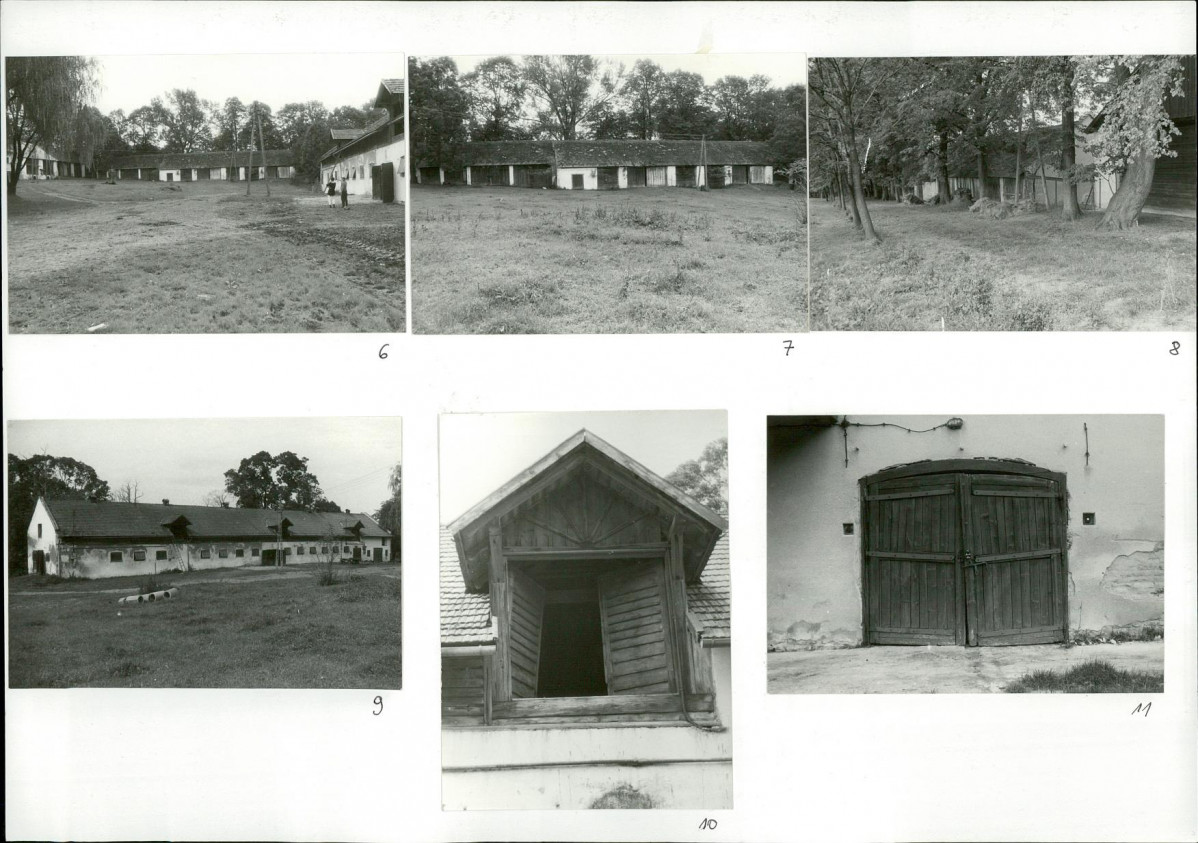 Karta biała, skan nr 8