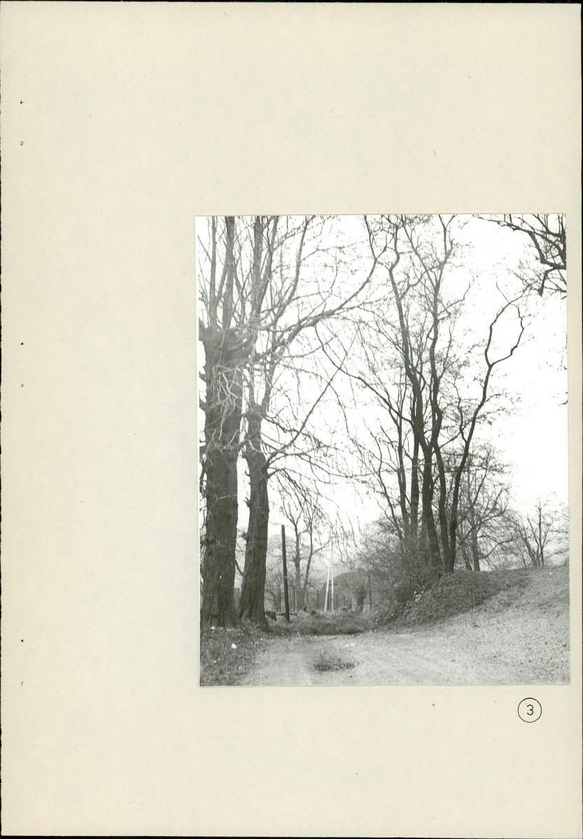 Ewidencja parkowa, skan nr 32