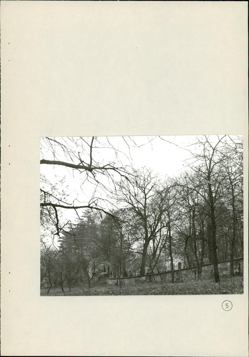 Ewidencja parkowa, skan nr 34