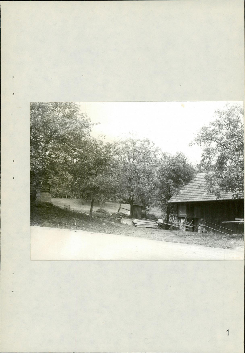 Ewidencja parkowa, skan nr 25