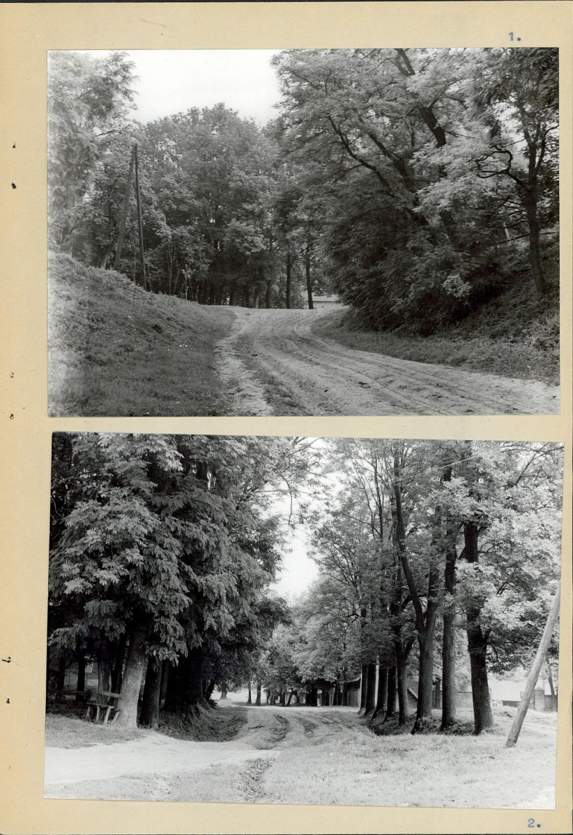 Ewidencja parkowa, skan nr 14