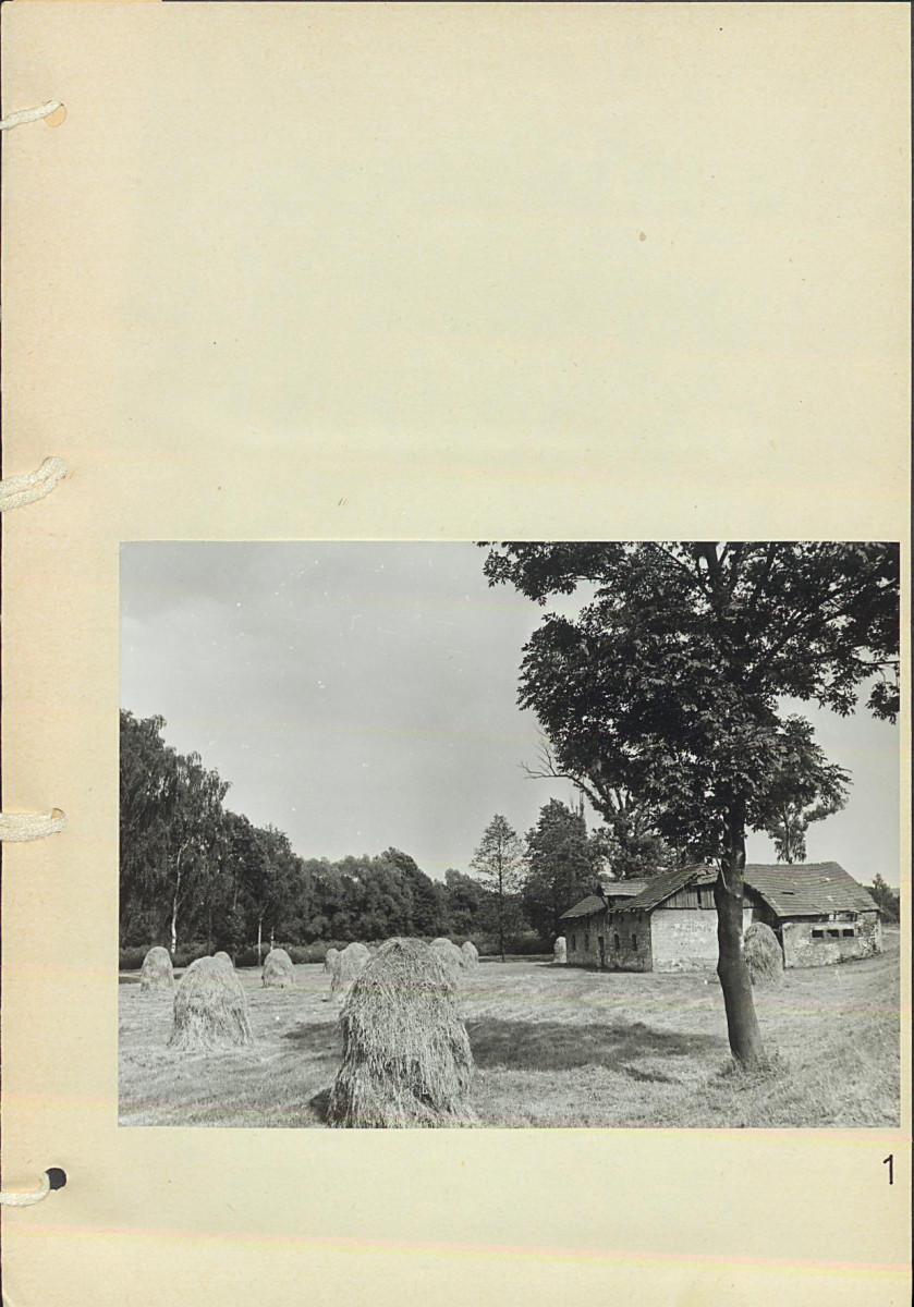 Ewidencja parkowa, skan nr 23