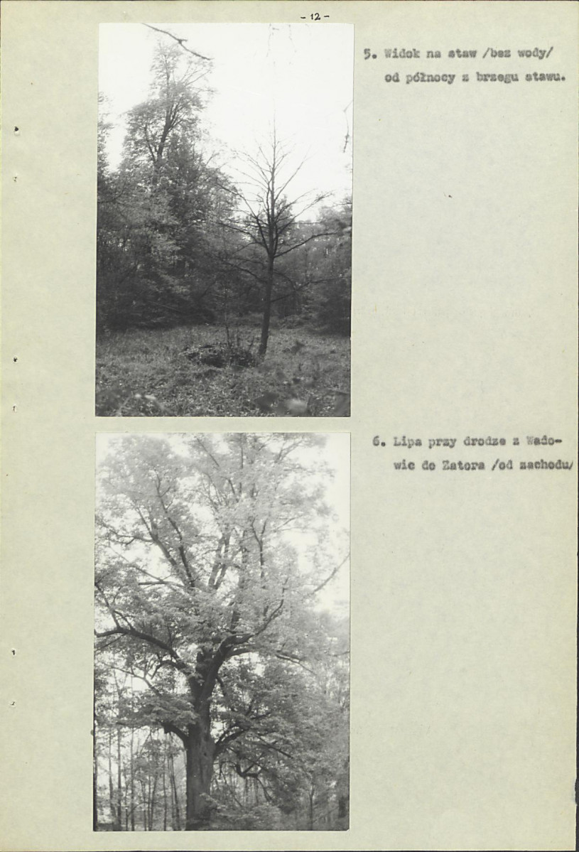 Ewidencja parkowa, skan nr 15