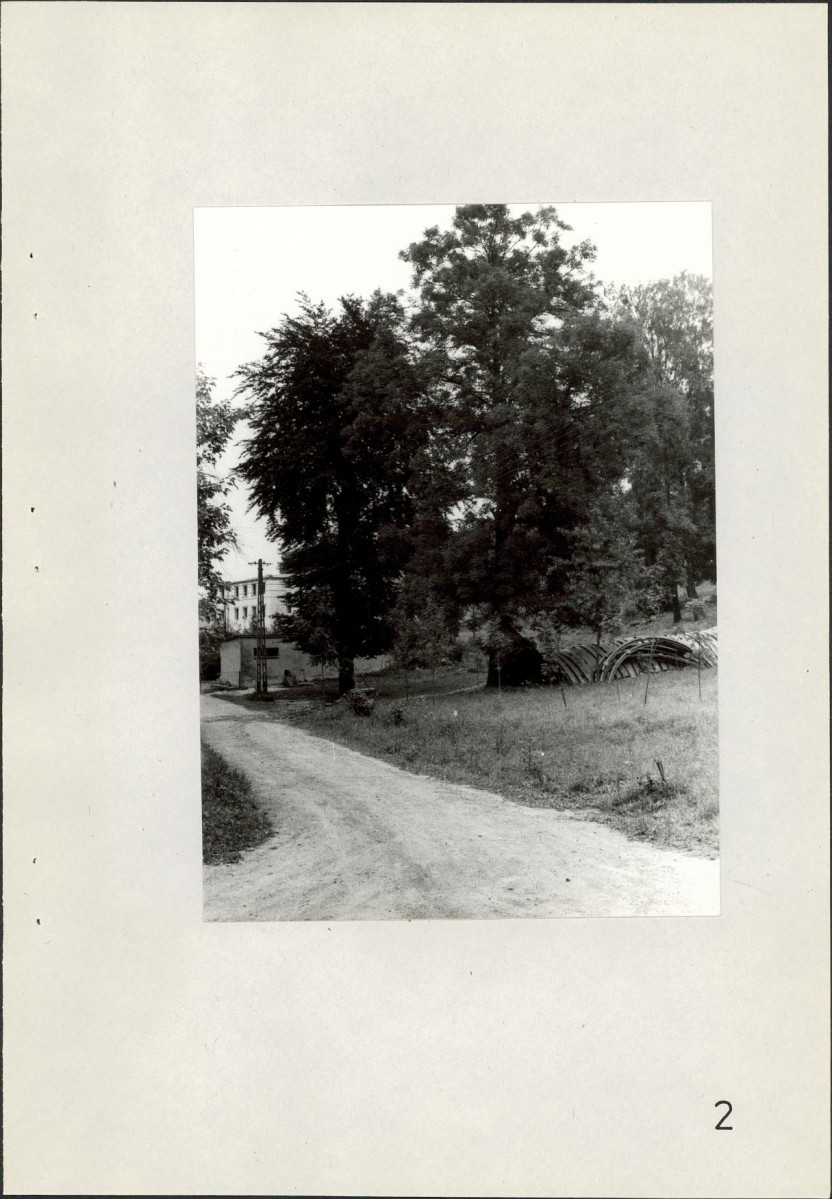 Ewidencja parkowa, skan nr 38