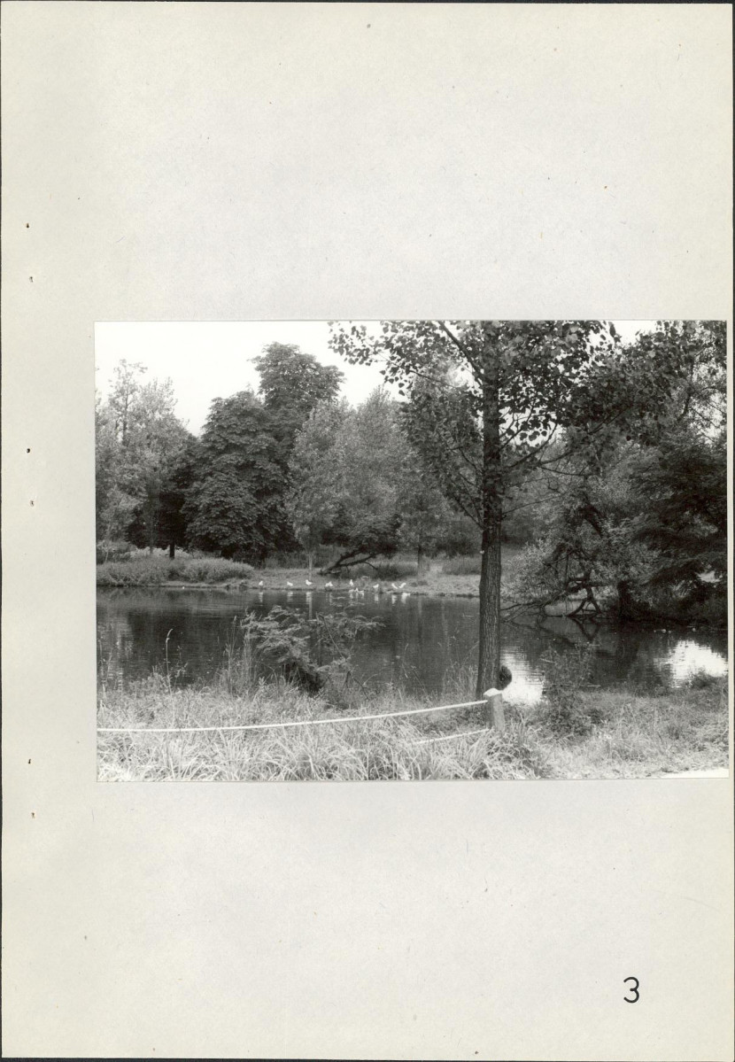 Ewidencja parkowa, skan nr 39