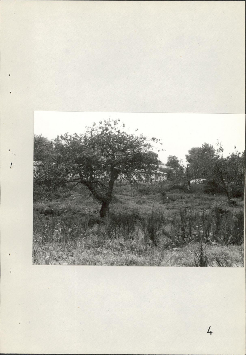 Ewidencja parkowa, skan nr 40