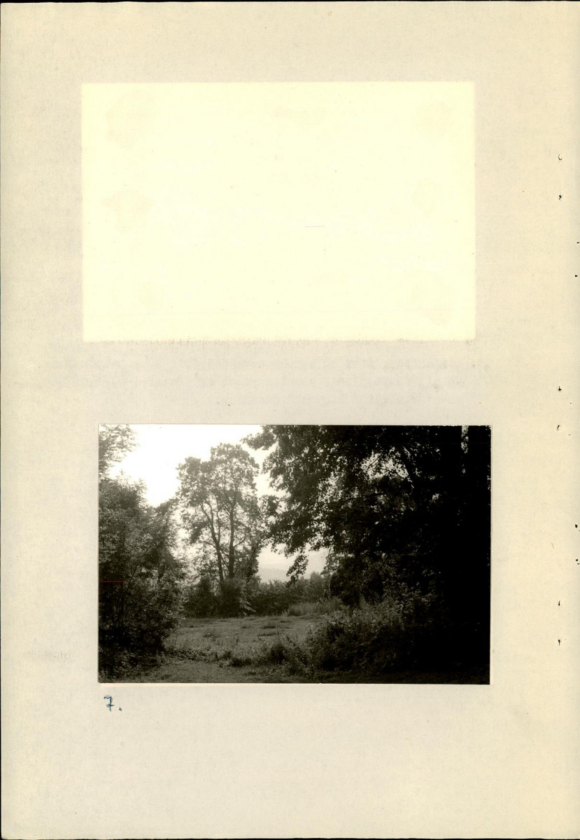 Ewidencja parkowa, skan nr 60