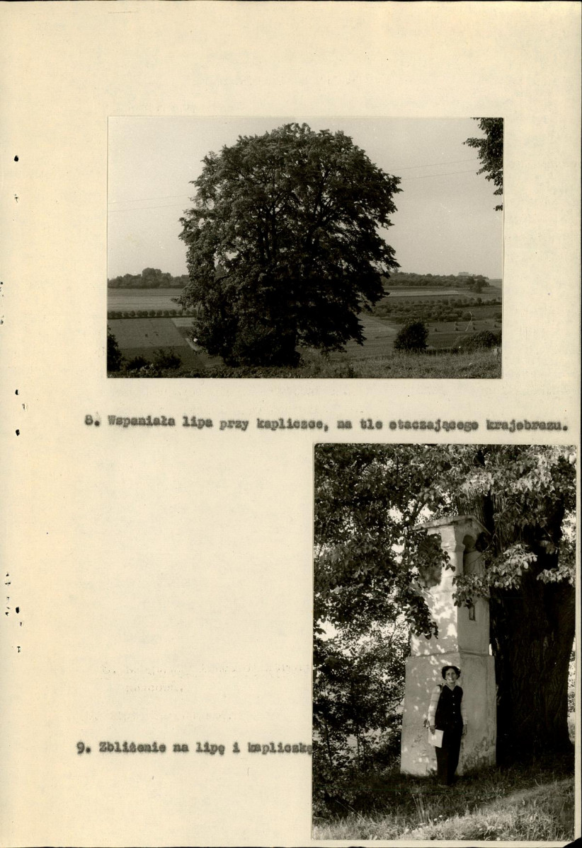 Ewidencja parkowa, skan nr 61