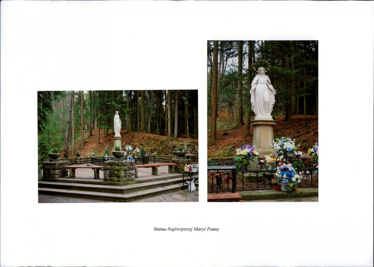 Karta biała, skan nr 8