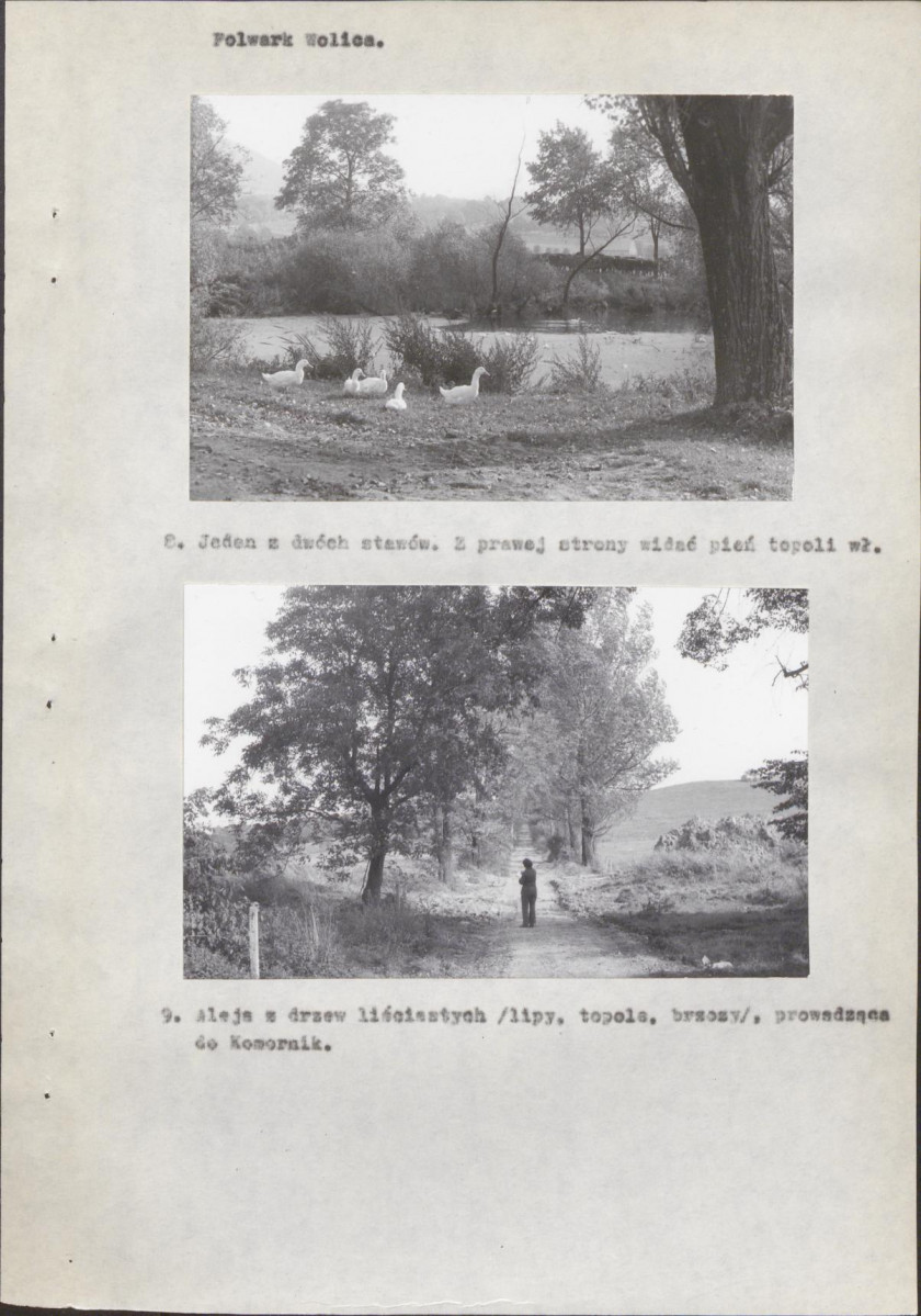 Ewidencja parkowa, skan nr 50