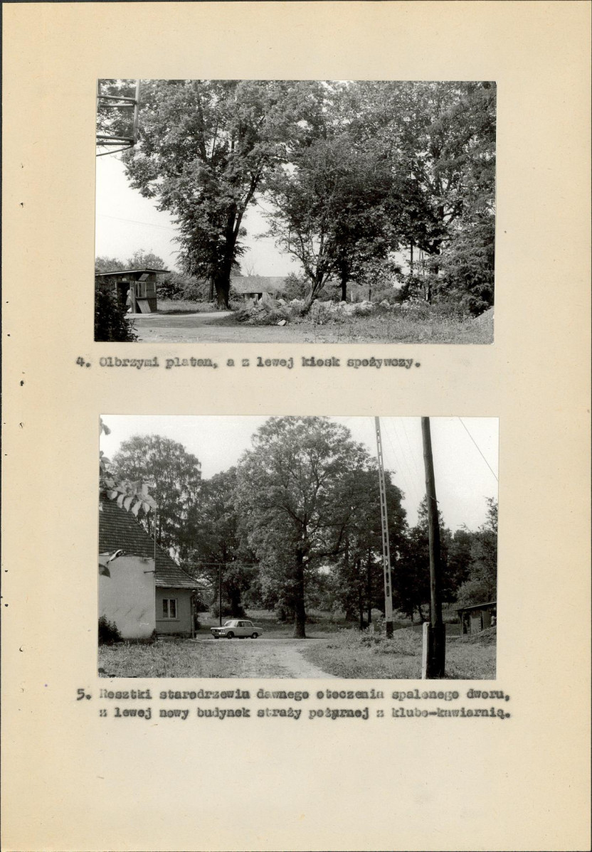 Ewidencja parkowa, skan nr 58