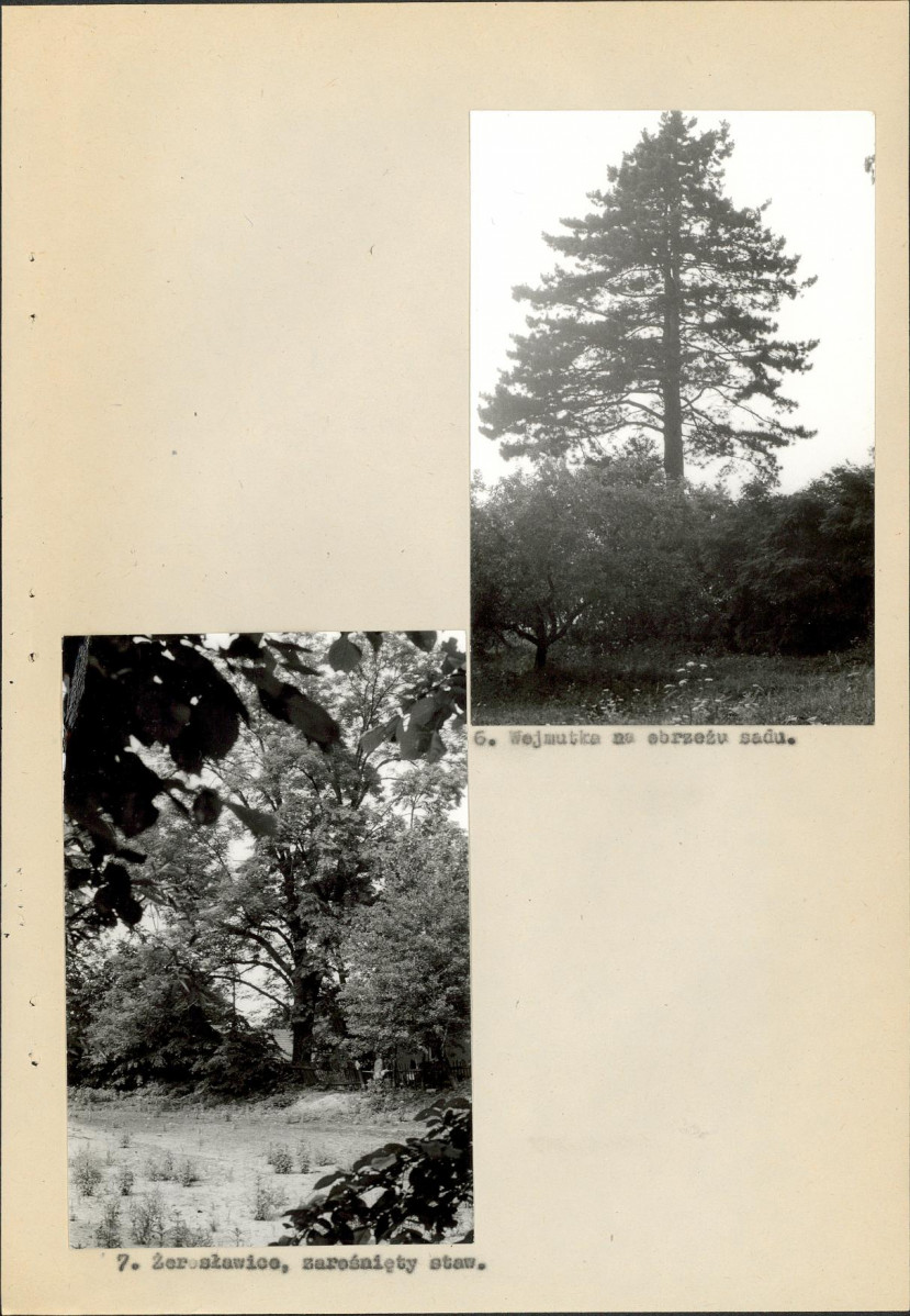 Ewidencja parkowa, skan nr 59