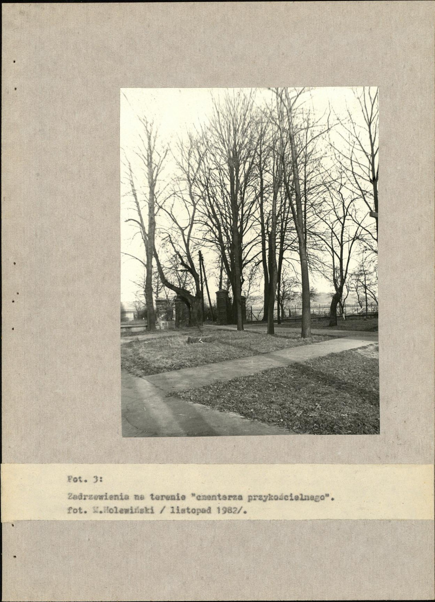 Ewidencja parkowa, skan nr 57
