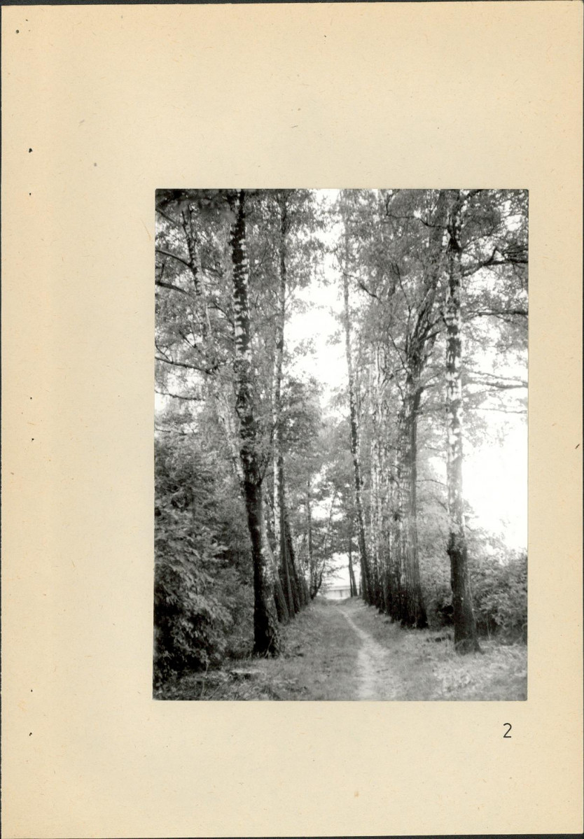 Ewidencja parkowa, skan nr 41