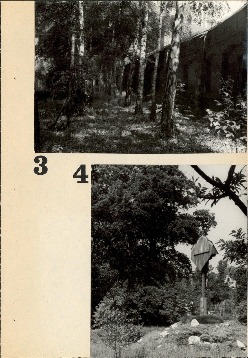Ewidencja parkowa, skan nr 62
