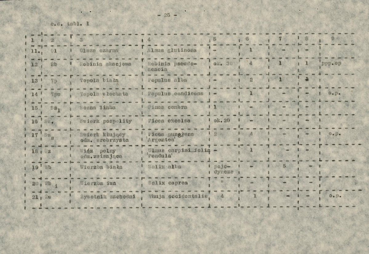 Ewidencja parkowa, skan nr 40