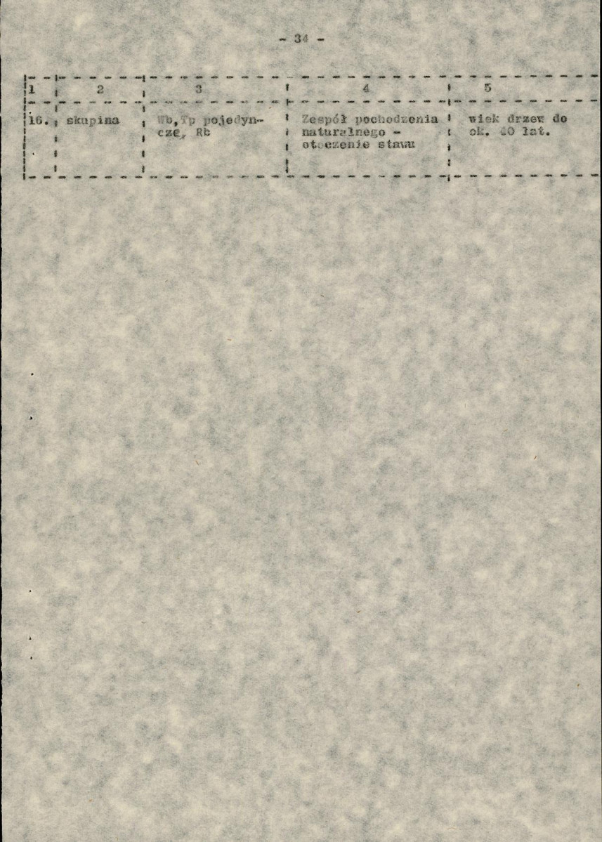 Ewidencja parkowa, skan nr 49