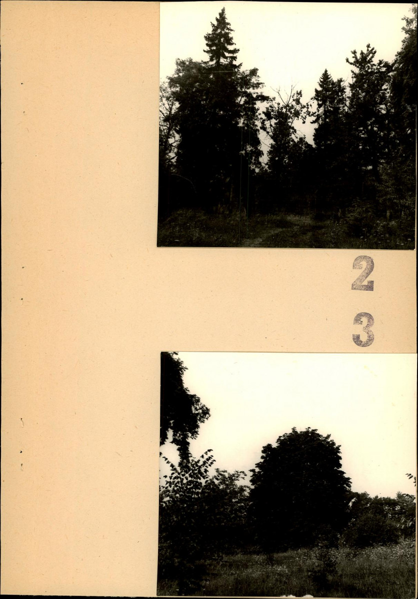 Ewidencja parkowa, skan nr 54