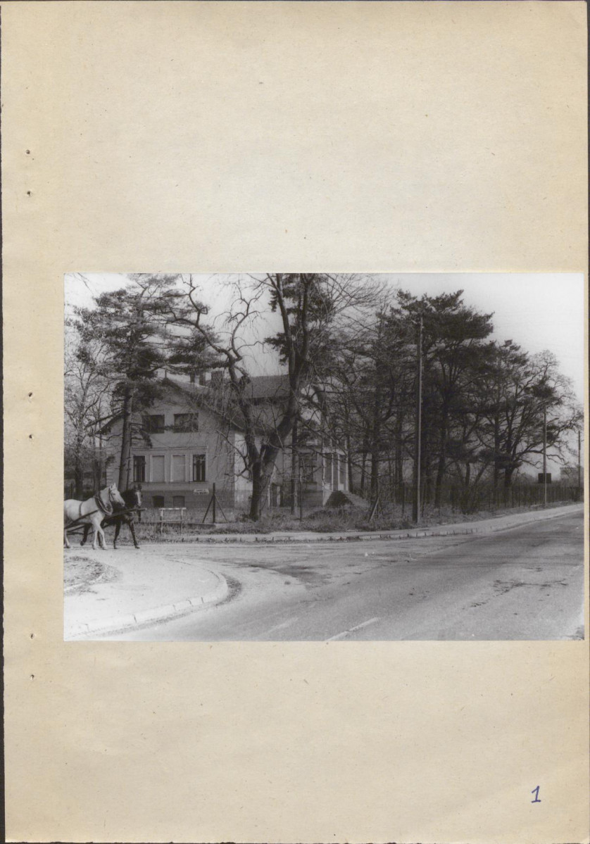 Ewidencja parkowa, skan nr 36