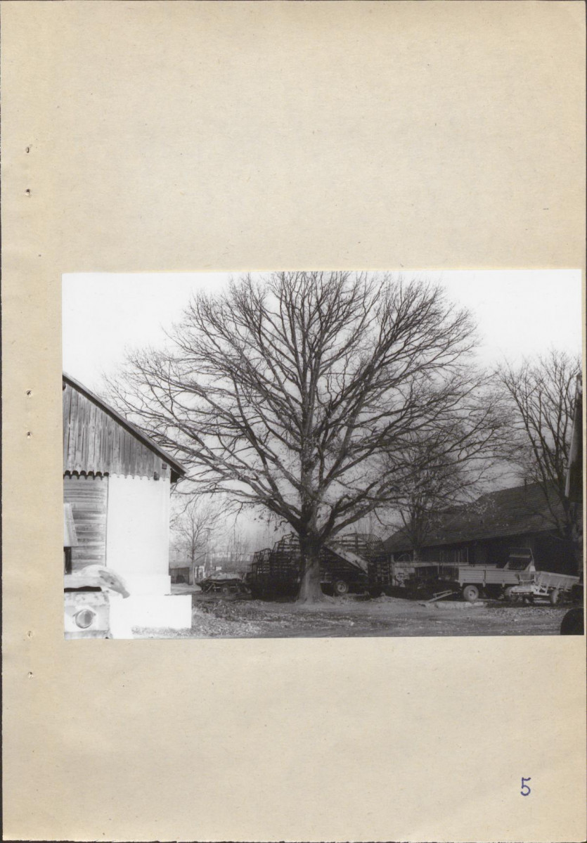 Ewidencja parkowa, skan nr 40