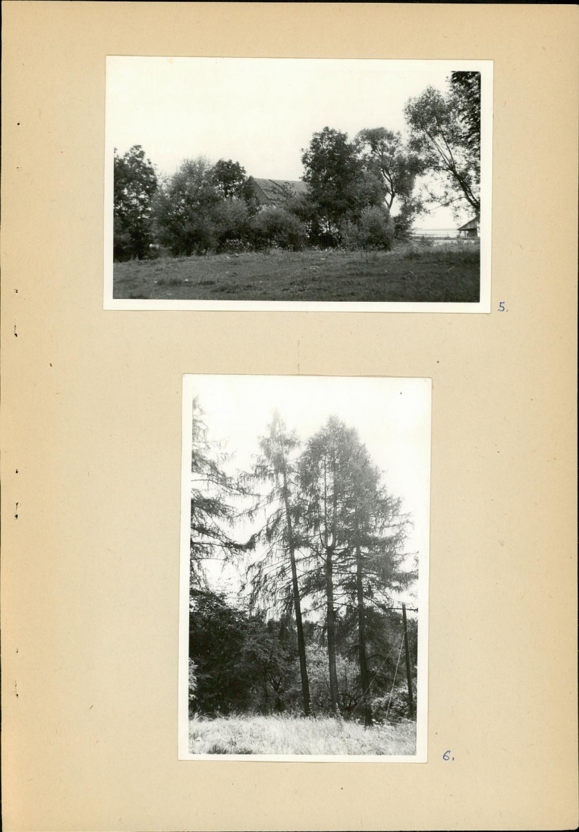 Ewidencja parkowa, skan nr 20