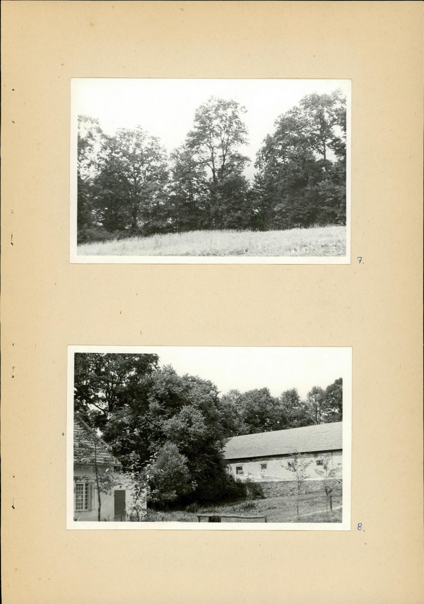Ewidencja parkowa, skan nr 21