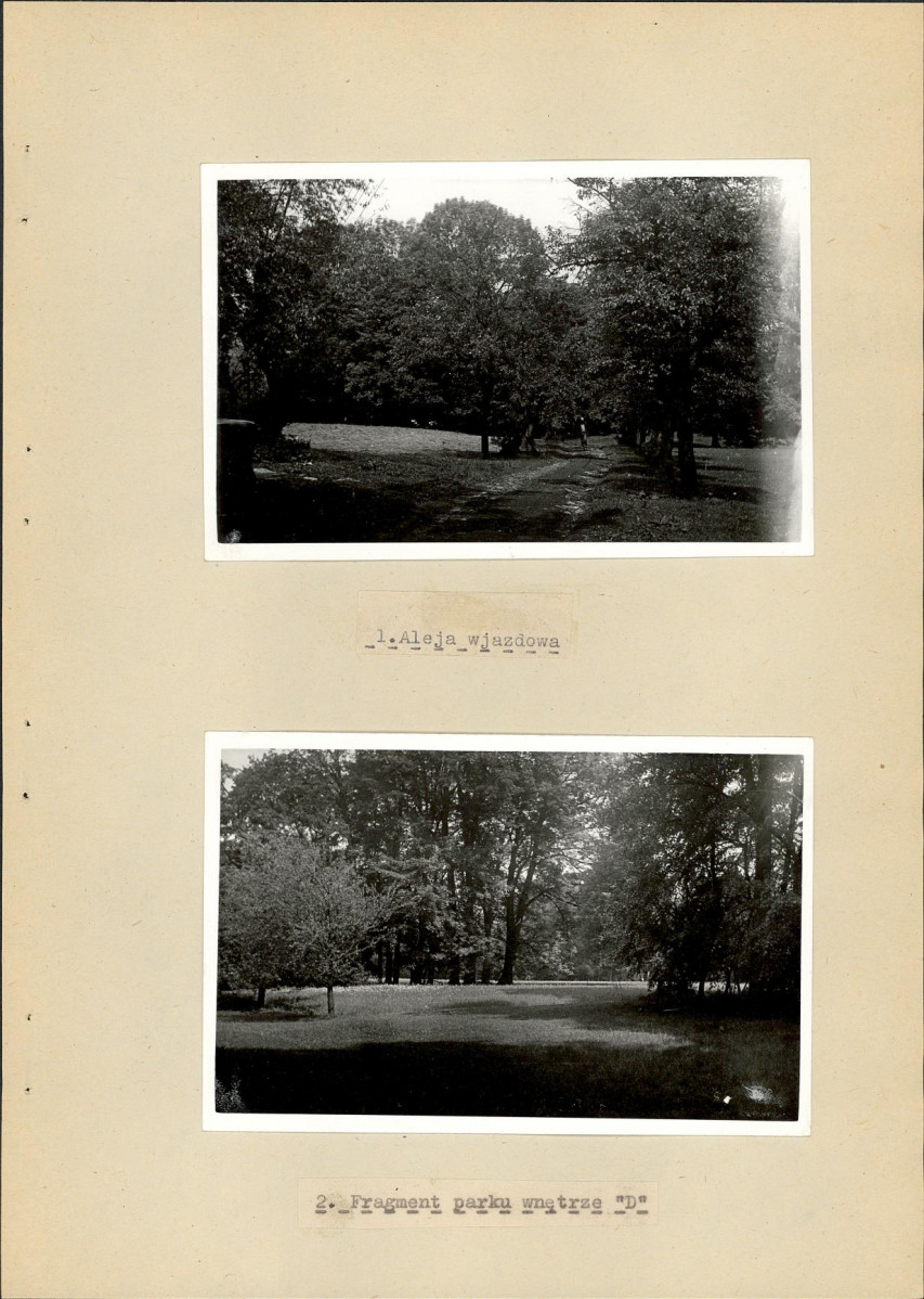 Ewidencja parkowa, skan nr 17