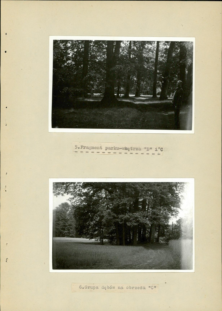 Ewidencja parkowa, skan nr 19