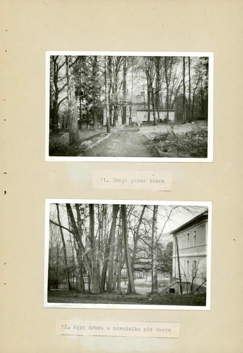 Ewidencja parkowa, skan nr 25