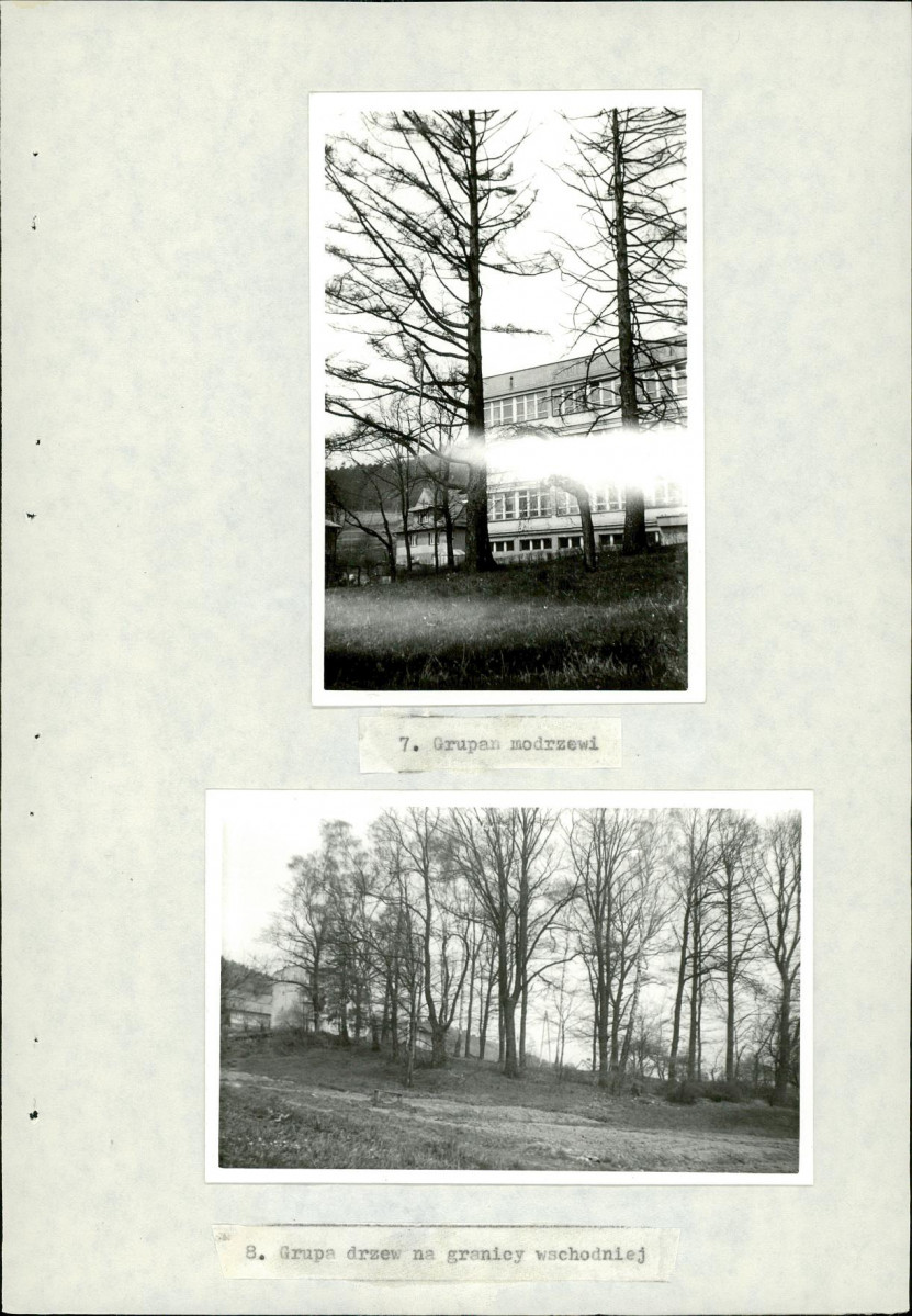 Ewidencja parkowa, skan nr 29