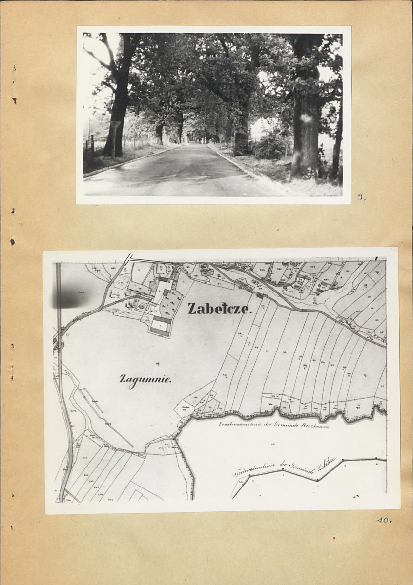 EP - Ewidencja parkowa, skan nr 21
