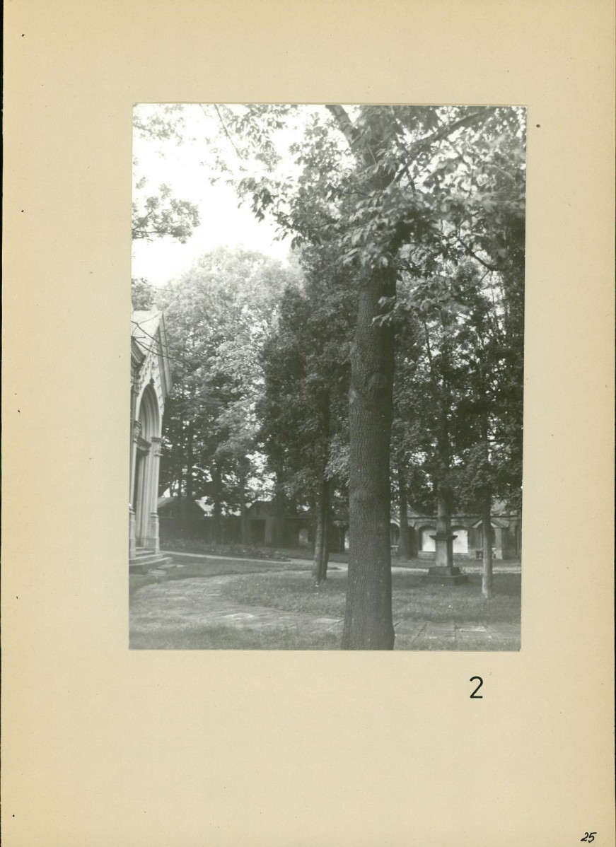 Ewidencja parkowa, skan nr 26