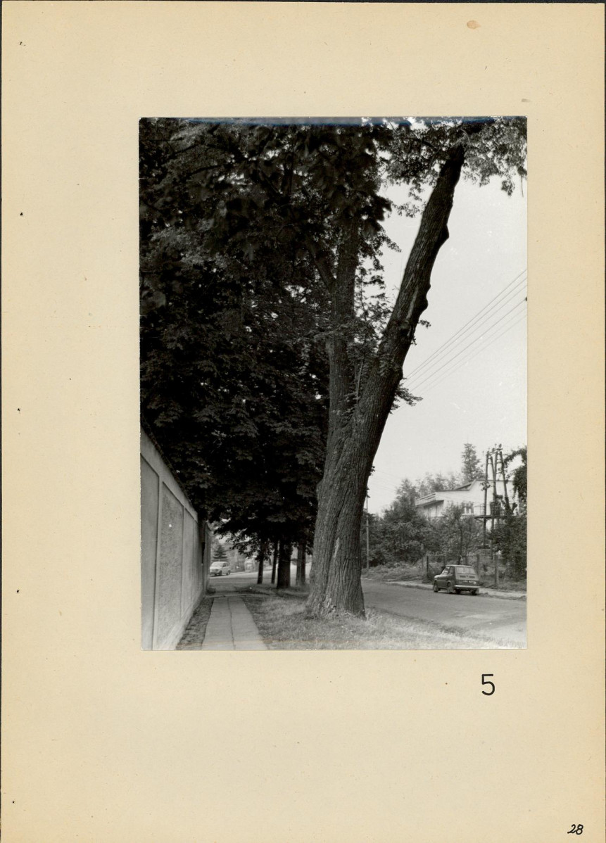 Ewidencja parkowa, skan nr 29