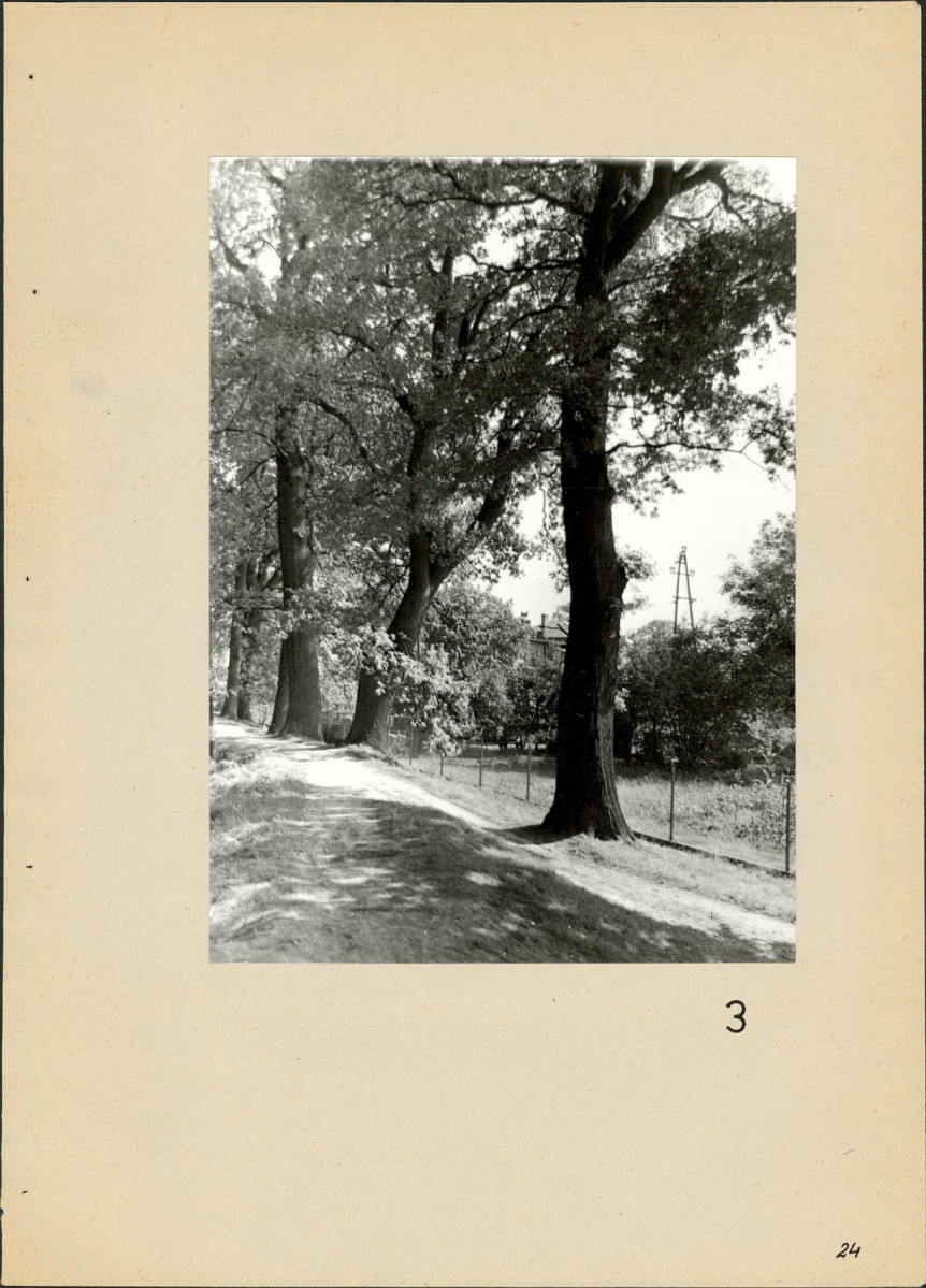 Ewidencja parkowa, skan nr 24