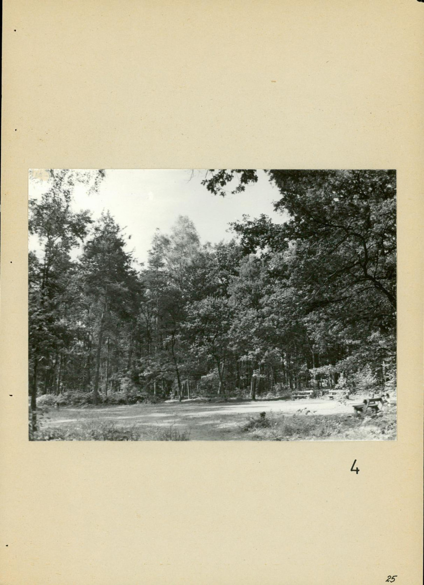 Ewidencja parkowa, skan nr 25