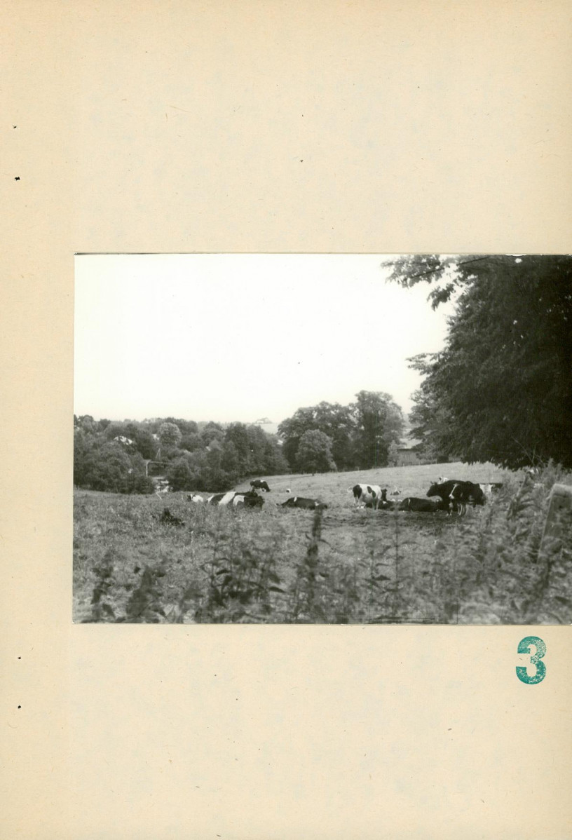 Ewidencja parkowa, skan nr 36
