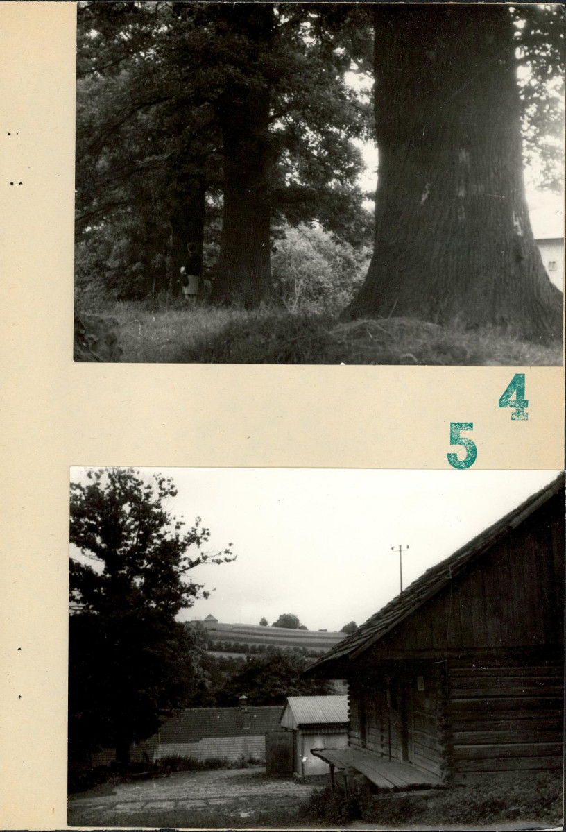 Ewidencja parkowa, skan nr 37