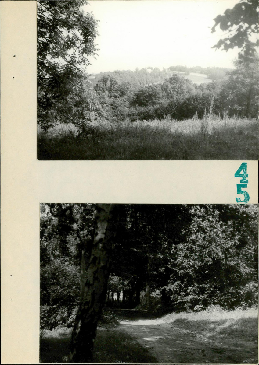EP - Ewidencja parkowa, skan nr 32