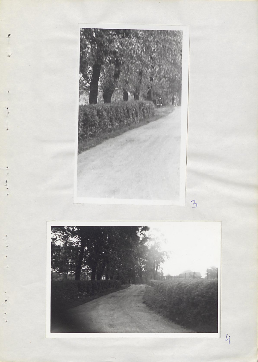 Ewidencja parkowa, skan nr 17