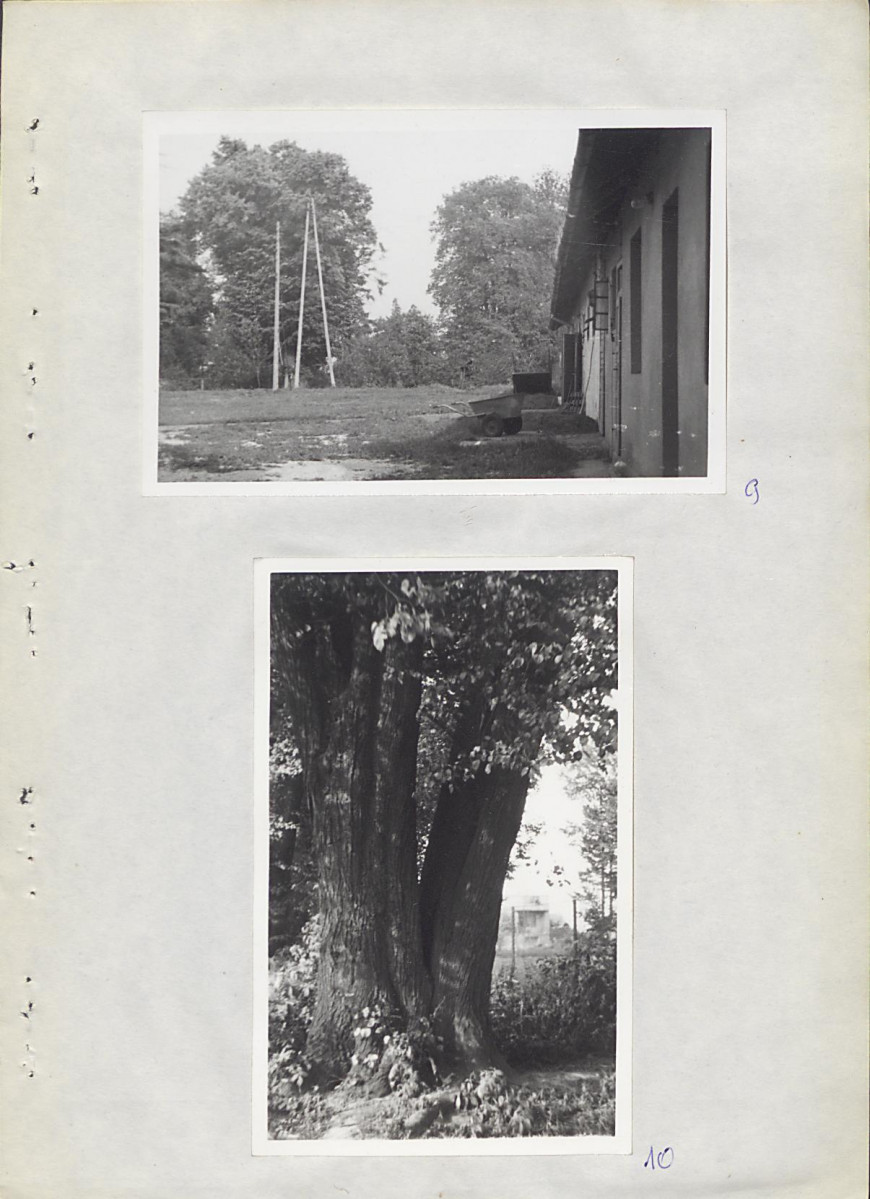 Ewidencja parkowa, skan nr 20