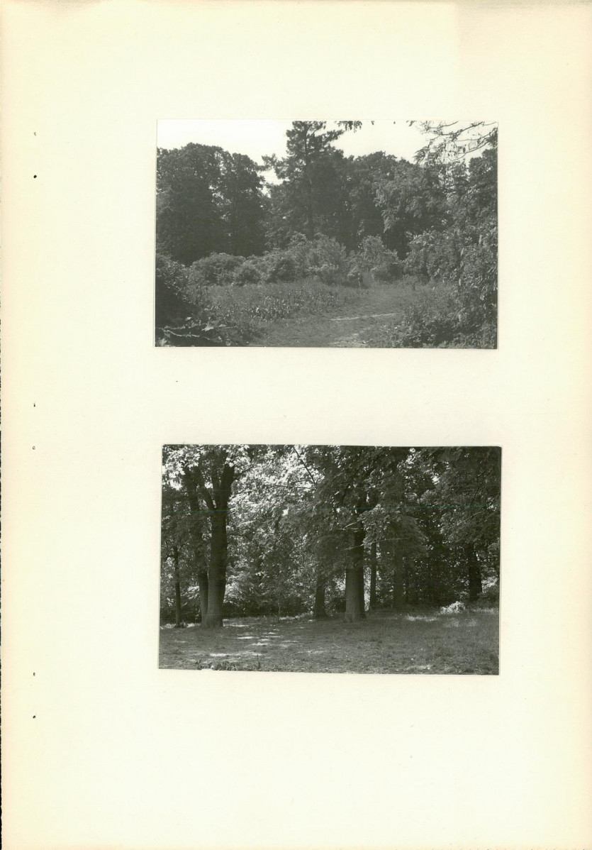 Ewidencja parkowa, skan nr 21