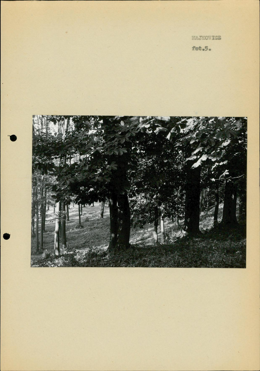 Ewidencja parkowa, skan nr 17