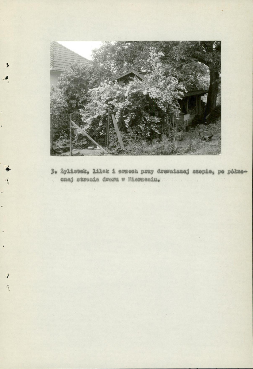Ewidencja parkowa, skan nr 50