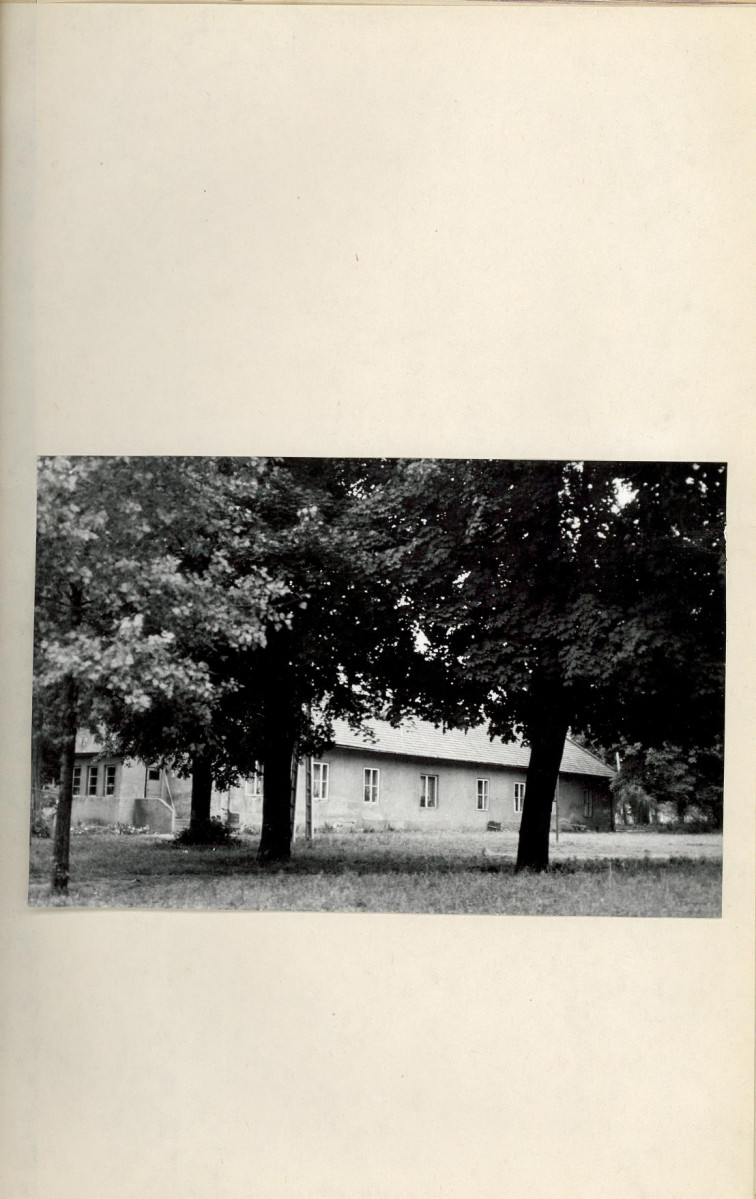 Ewidencja parkowa, skan nr 11