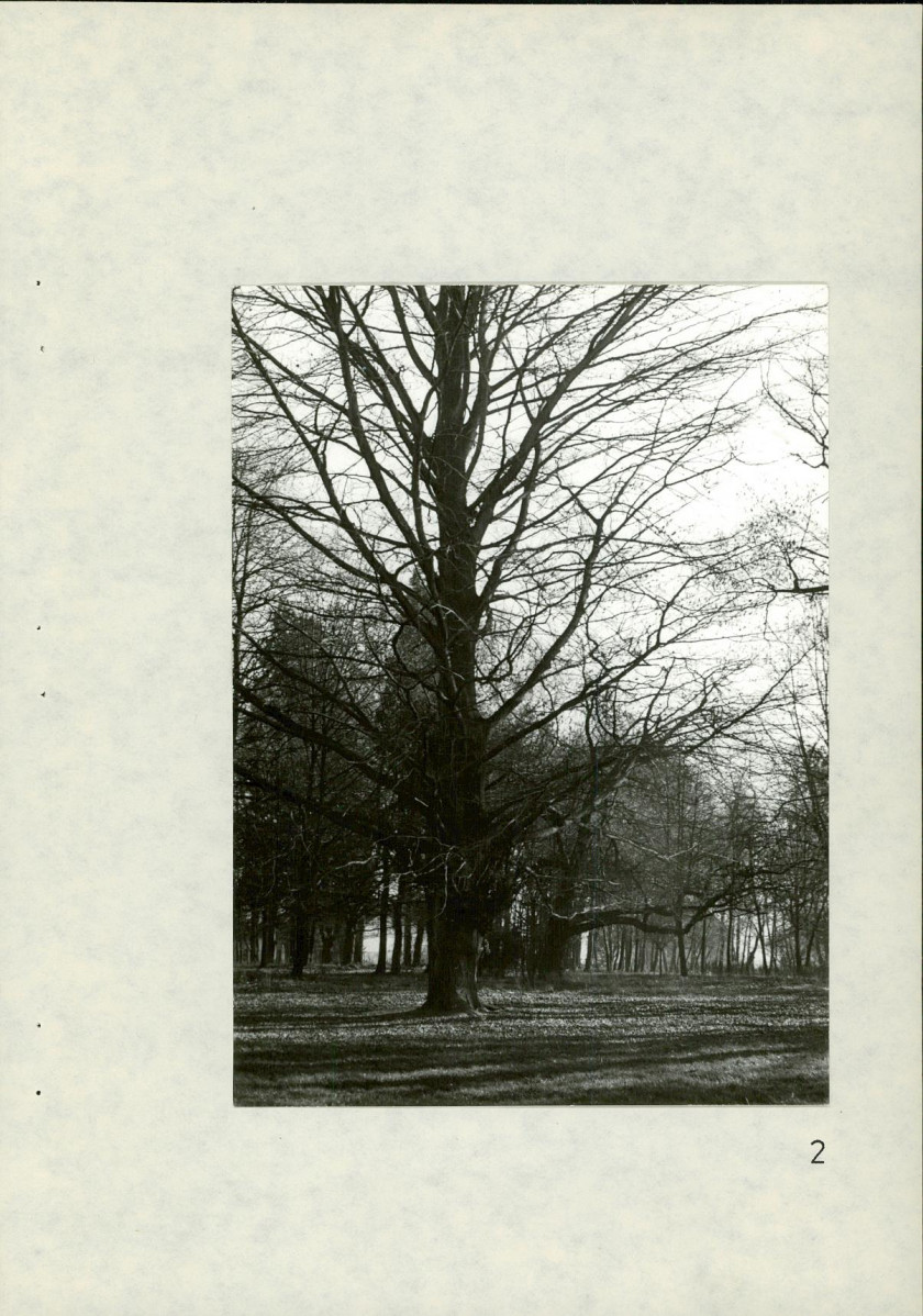 Ewidencja parkowa, skan nr 42