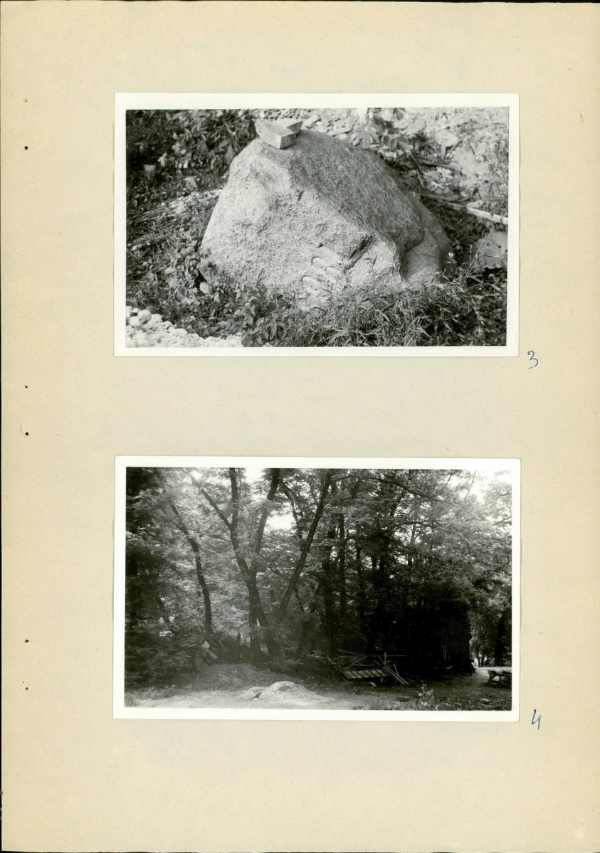 Ewidencja parkowa, skan nr 22