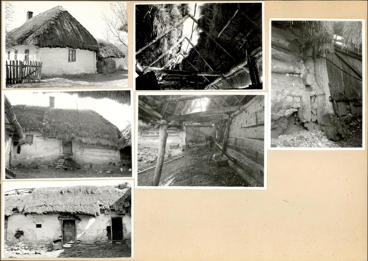 Karta biała, skan nr 6