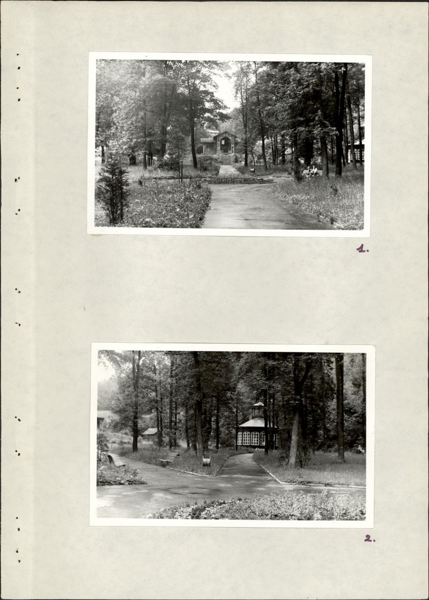 Ewidencja parkowa, skan nr 13