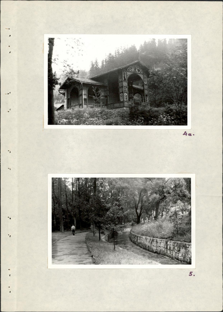 Ewidencja parkowa, skan nr 15